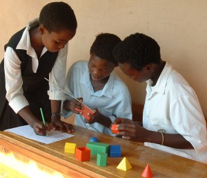 school-effect
