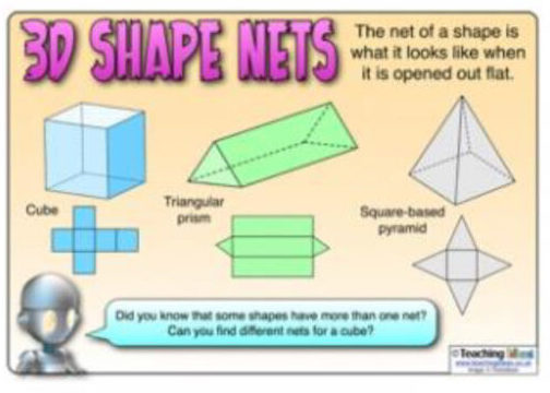 Newsletter: 3D Shapes