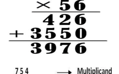 Newsletter: Multiplication of whole numbers